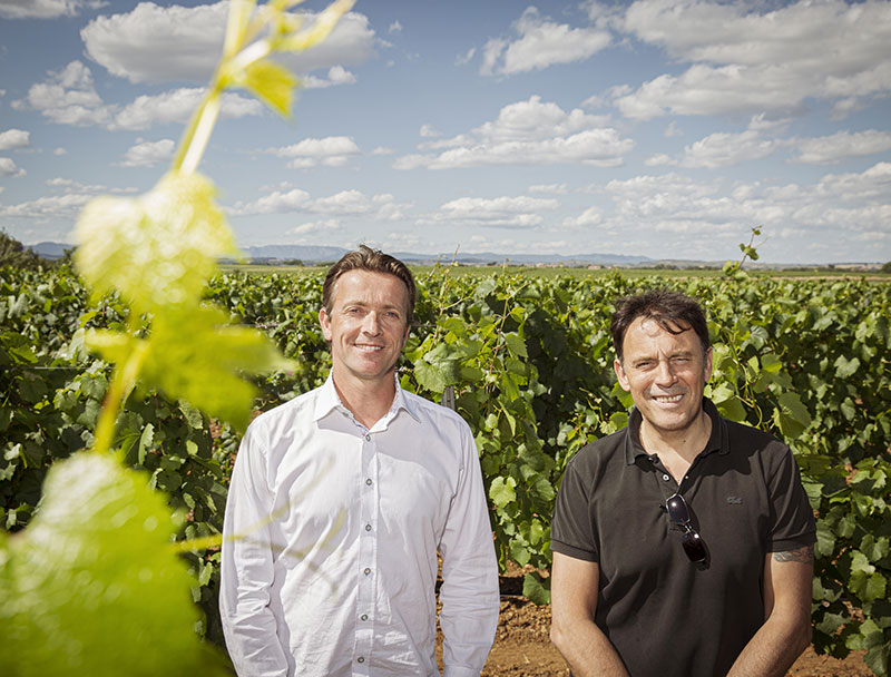 René Vergnes wine broker in the vines of his partner the Celliers du Soleil